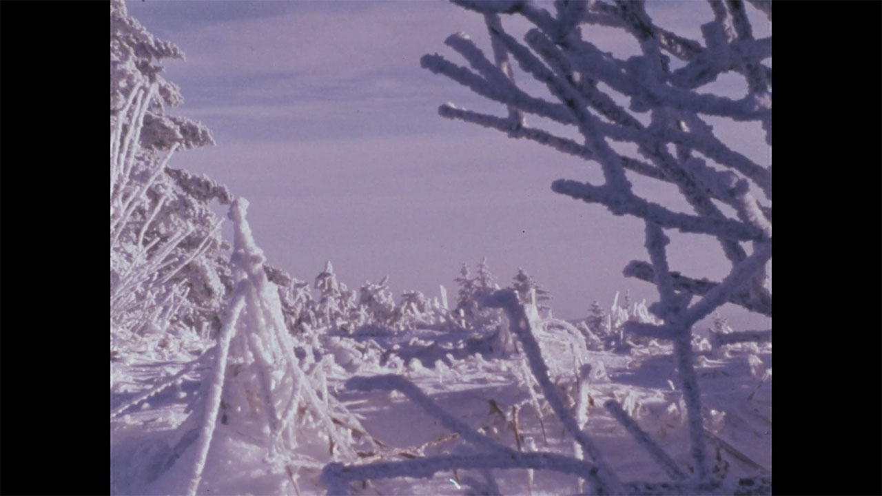 Roan Mountain Eulogy (1979)